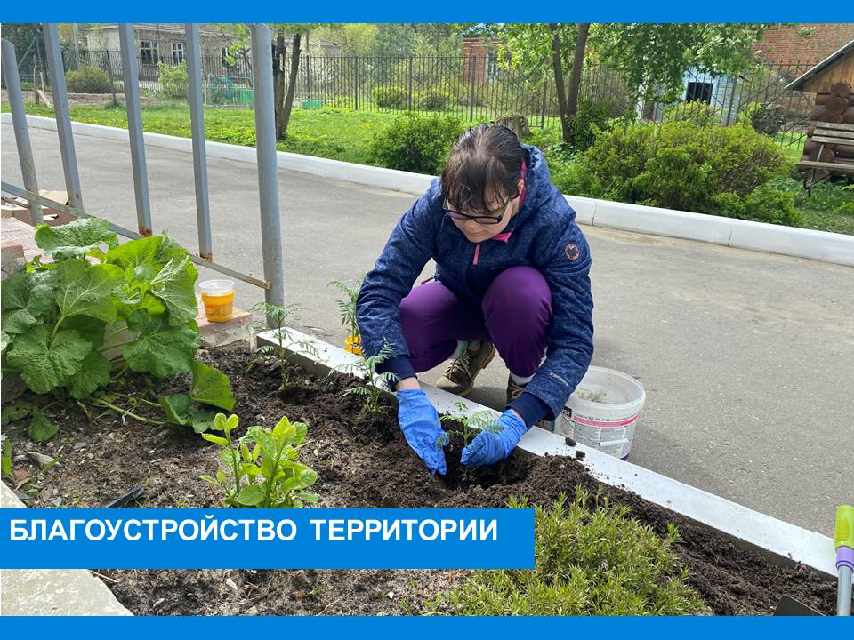 Высаживаем цветочную рассаду 
